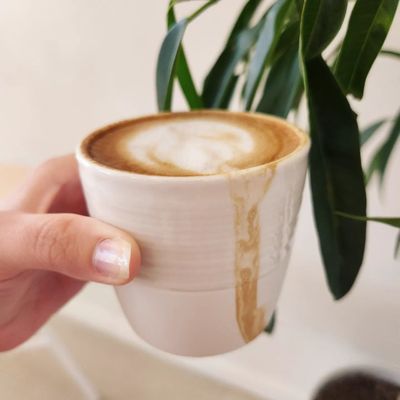 White Sparrow Coffee and Market by null