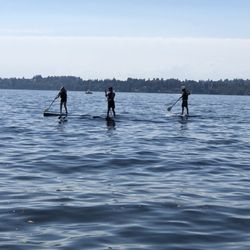 Seattle Paddle