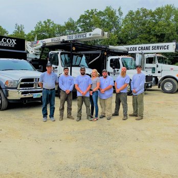 Wilcox Tree Service - Tree Services Near Me - Westmoreland, New Hampshire Wilcox Tree Service - Tree Services Near Me - Westmoreland, New Hampshire