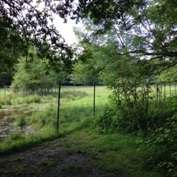 Wildgehege / Hirschpark