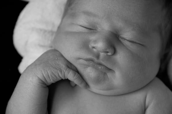 Edyth Photography EDITH PHOTOGRAPHY - Updated January 2026 - 6568 Joliet Rd, Countryside ...