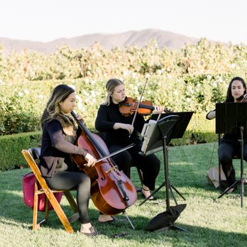 Organic String Quartet - Performing Arts Near Me Organic String Quartet - Performing Arts Near Me