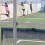 Photo of Growth Soccer Training