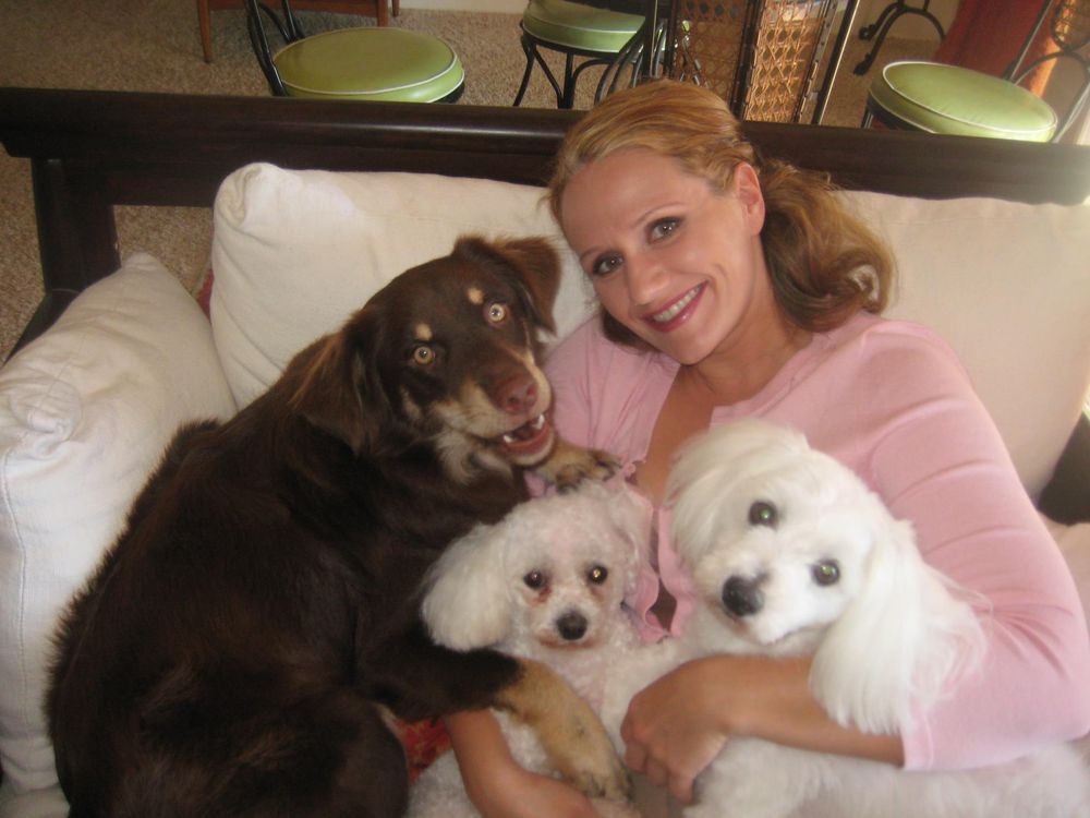 CAPE COD VETERINARY SPECIALISTS DENNIS Updated May 2024 19 Reviews