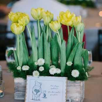Jamie Brinkman Photography - Event Photography Near Me