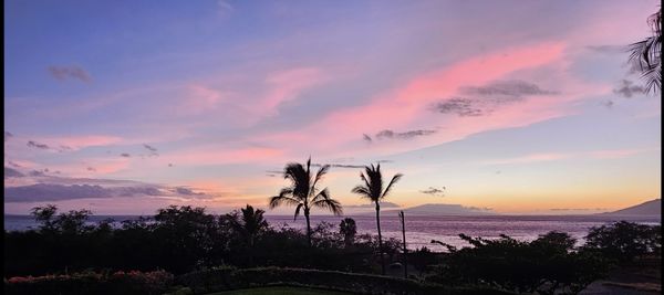 Maui Kamaole by Vacasa by null