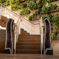 Kuya - Living Wall - A balanced nervous system is critical to healing.
