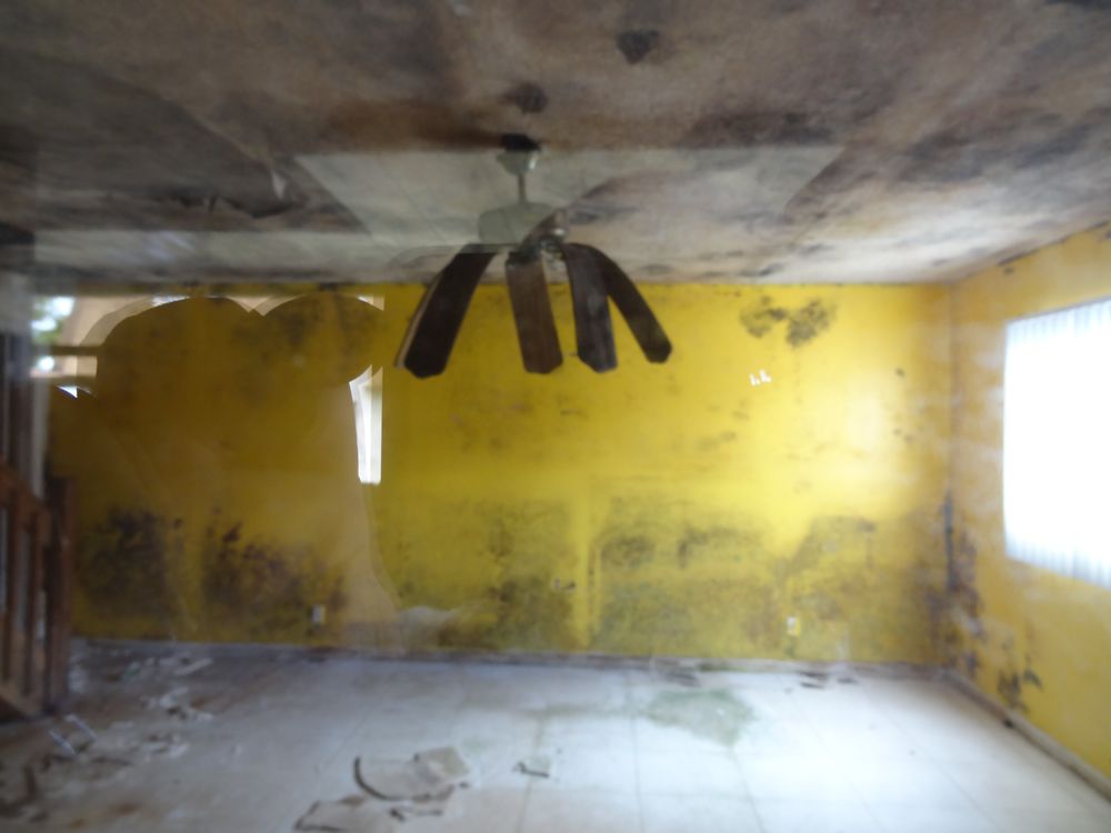 Moldxperts - mold inspector in Lighthouse Point, FL