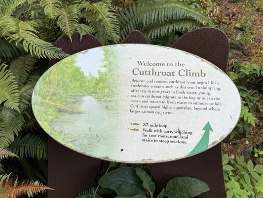 Willapa National Wildlife Refuge by null