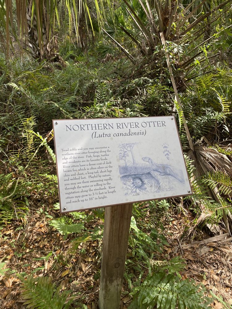Halpatiokee Regional Park Image