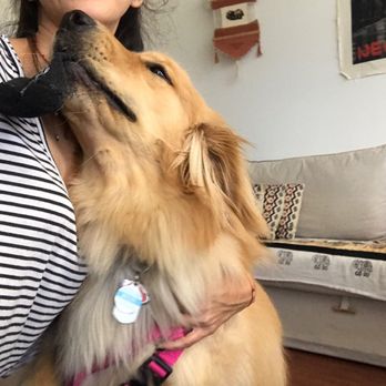 Paws Miami - Bailey loves Nathalia! - Dog Walkers Near Me - Miami, Florida