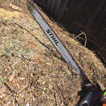 Adolfo Tree Services - Tree Services Near Me - Carpentersville, Illinois