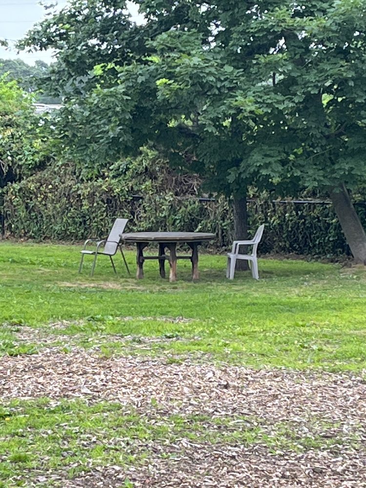 CHERRY AVE DOG PARK Updated October 2024 13 Reviews 250 Cherry