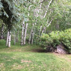 Rotary Park - Stand of Aspens makes the area shady in the summer