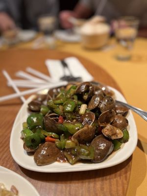 Ping Pang Pong by null