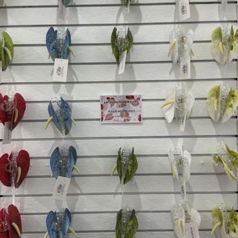 Marnzaza Hawaii - Accessories Near Me - Kaneohe, Hawaii Marnzaza Hawaii - Accessories Near Me - Kaneohe, Hawaii