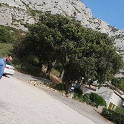 Le Relais de Saint Ser