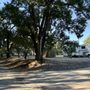 Lincoln Rv Park