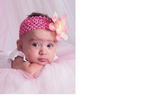 Bella Bugs Pest Control