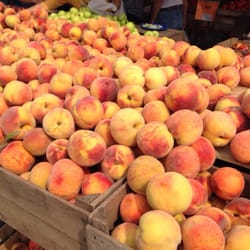 Burke Farmer's Market