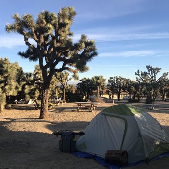 Black Rock Canyon - Our campsite. - Hiking Near Me - Yucca Valley, California