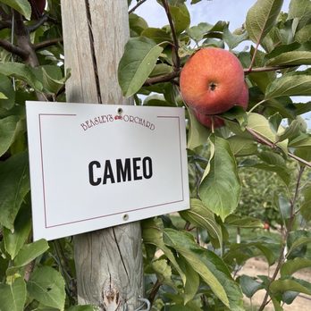 Beasley's Orchard - Farmers Market Near Me - Danville, Indiana