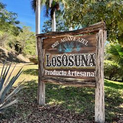 Los Osuna Blue Agave Tour