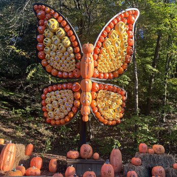 Dollywood - Pumpkin decorations - Amusement Parks Near Me - Pigeon Forge, Tennessee