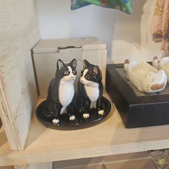 Cool Cat Collective - Art Galleries Near Me - Long Beach, California