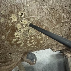 Center Shot Archery - This is one of the 3D deer hitting a sweet spot.