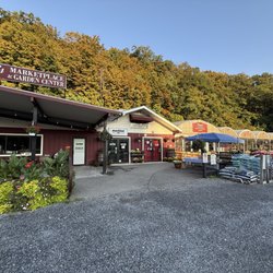 Vera's