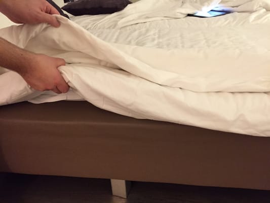 The Albus - Boutique Hotel Amsterdam Centrum by null