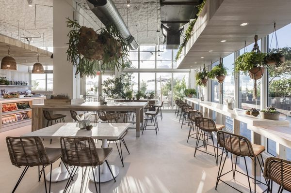 Plnthouse by null
