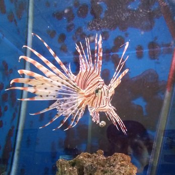 Jay's Jungle - Pet Stores Near Me - Provo, Utah Jay's Jungle - Pet Stores Near Me - Provo, Utah