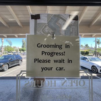 Happy Cat Grooming - This is for next appointments. You are allowed to be with your cat while they are grooming.. - Pet Groomers Near Me - Cypress, California Happy Cat Grooming - This is for next appointments. You are allowed to be with your cat while they are grooming.. - Pet Groomers Near Me - Cypress, California