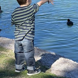 We keep corn in the house to feed the ducks -no bread for these little guys. It's not good for them. We keep corn in the house to feed the ducks -no bread for these little guys. It's not good for them.