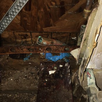 Red Carpet Plumbing - need $17000. to repair it! - Plumbing Near Me - Las Vegas, Nevada Red Carpet Plumbing - need $17000. to repair it! - Plumbing Near Me - Las Vegas, Nevada