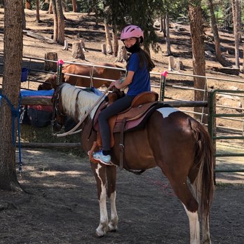 Bear Mountain Stables - Ember was a great horse. - Horseback Riding Near Me - Conifer, Colorado