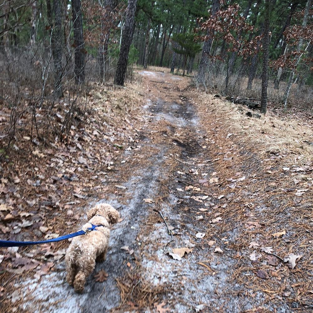 Gil Putnam Memorial Park AKA Jackson Forest Image