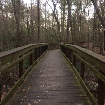 Possum Creek Skate Park - Skate Parks Near Me - Gainesville, Florida Possum Creek Skate Park - Skate Parks Near Me - Gainesville, Florida