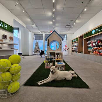 Puptqe - Pet Stores Near Me - Temecula, California