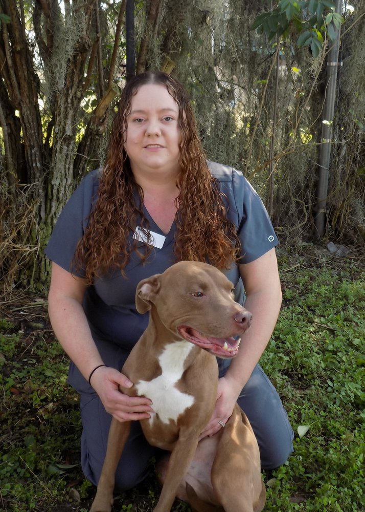 VCA ORMOND BEACH ANIMAL HOSPITAL 38 Photos & 12 Reviews 1104 S Nova