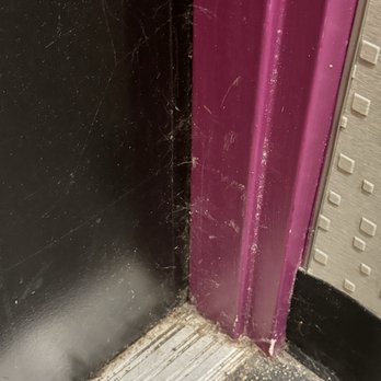 Planet Fitness - Again, webs all over the door next to the workout machine. - Gyms Near Me - Milpitas, California Planet Fitness - Again, webs all over the door next to the workout machine. - Gyms Near Me - Milpitas, California