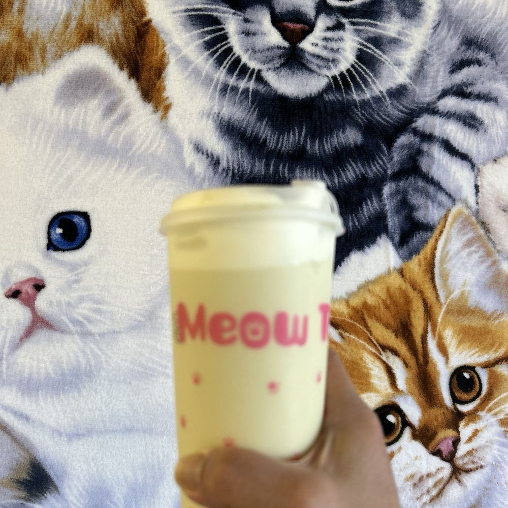 Meow Tea Cafe - 7/5/25 - Bubble Tea Near Me - Upland, California