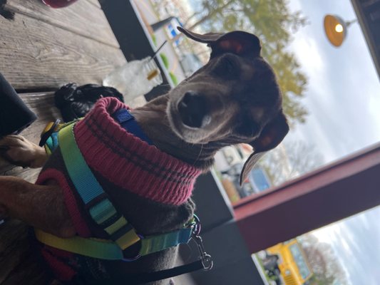 Pour House Pub by null