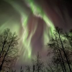 Aurora Bear - Aurora as seen from Aurora Bear's property