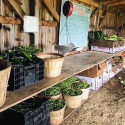 DeepSeeded Farm - Shed