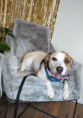 Riley's Sandwich Co. by null