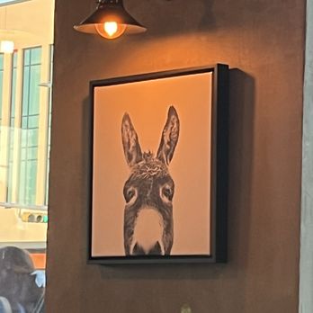 Donkey Mo’s - Korean Near Me - Austin, Texas