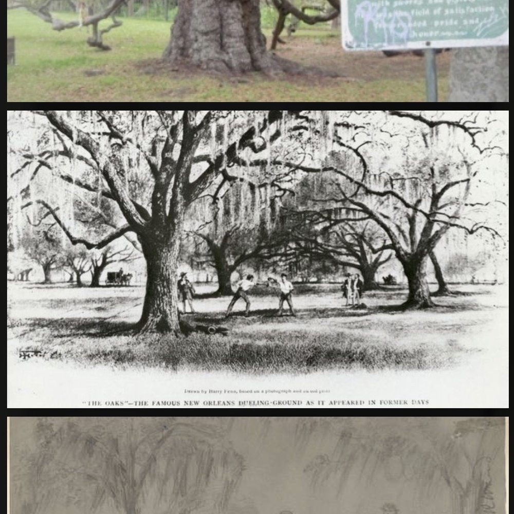 Dueling Oak - Landmarks & Historical Buildings Near Me - New Orleans, Louisiana Dueling Oak - Landmarks & Historical Buildings Near Me - New Orleans, Louisiana